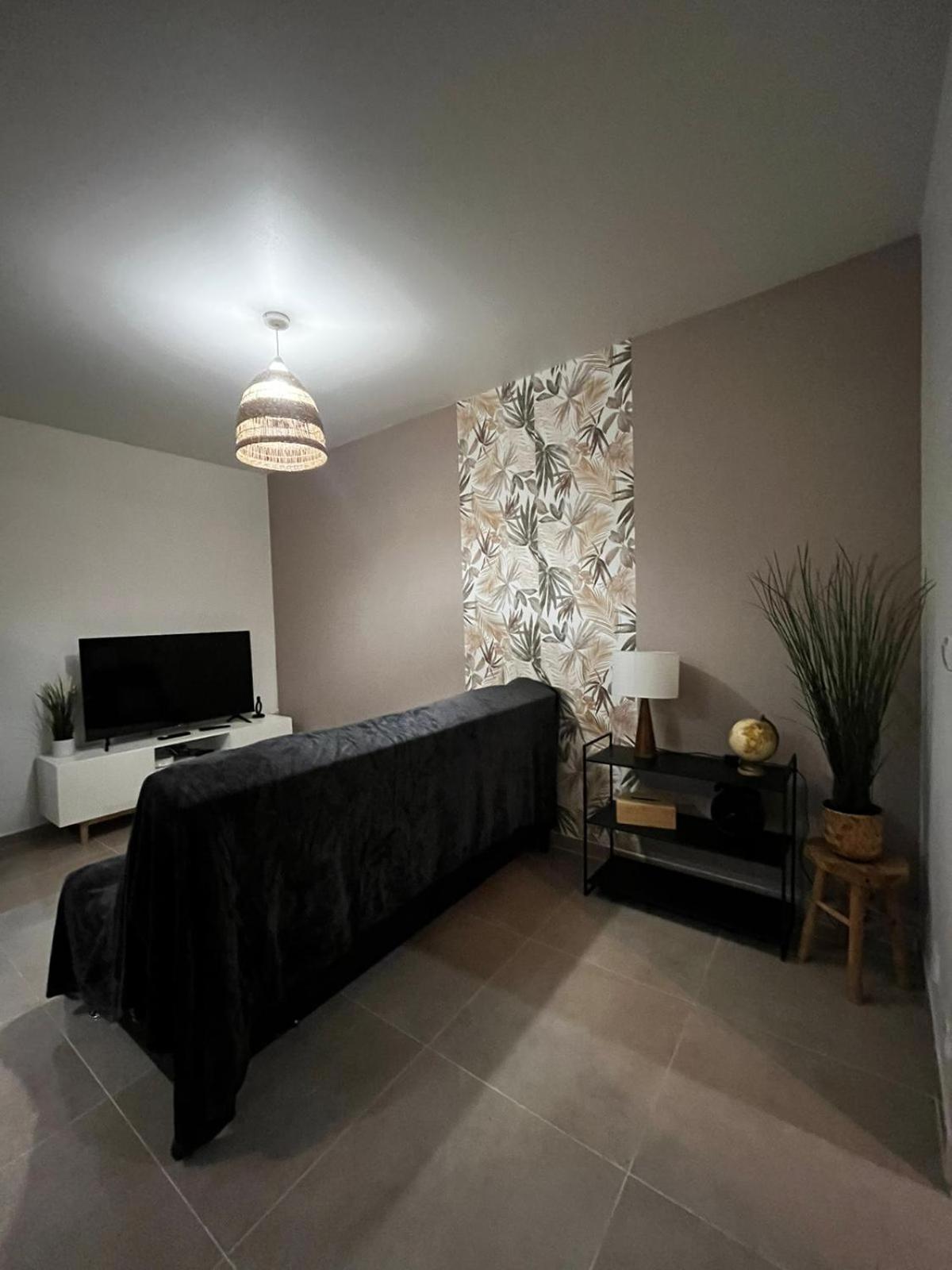 Appartement Des Carmes Nîmes Dış mekan fotoğraf